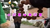 百家碎戏 小诸葛斗老诸葛