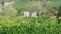 百家碎戏 牌戒