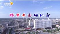 百家碎戏 婚事牵出的秘密