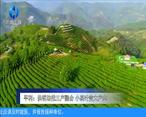 农村大市场 平利：供销助推三产融合 小茶叶变大产业
