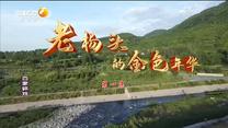 百家碎戏 老杨头的金色年华（一）