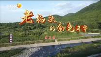 百家碎戏 老杨头的金色年华（三）