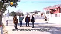 百家碎戏 路灯亮了