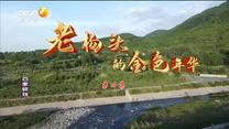 百家碎戏 老杨头的金色年华（四）