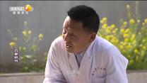 百家碎戏 医者仁心