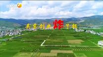 百家碎戏 吴东创业炸了锅