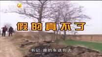 百家碎戏 假的真不了