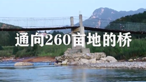 通向260亩地的桥