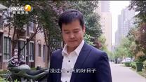 百家碎戏 女婿要结婚