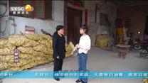 百家碎戏 恩爱夫妻
