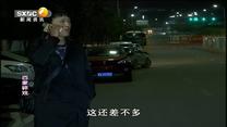 百家碎戏 只缘一份真