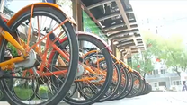 助力十四运会  西安六千余辆公共自行车将换“新颜”