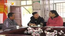 百家碎戏 浪子回头奔小康
