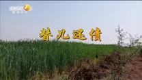 百家碎戏 替儿还债