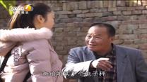 百家碎戏 彩礼论斤