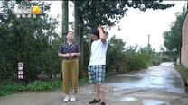 百家碎戏 分手账单