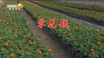百家碎戏 零花钱