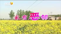 百家碎戏 家有恶邻