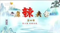 [百家碎戏]麻辣夫妻—老麻演戏