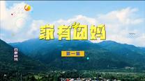 百家碎戏 家有囧妈