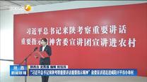 “习近平总书记来陕考察重要讲话重要指示精神”省委宣讲团走进咸阳兴平市小阜村