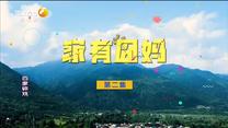 [百家碎戏]家有囧妈
