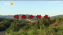 百家碎戏 请你珍惜我
