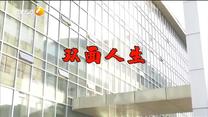 百家碎戏 双面人生