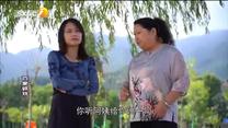 百家碎戏 家有囧妈（三）