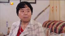 百家碎戏 孝心不容选择