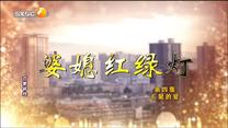 百家碎戏 婆媳红绿灯 第四集 汇聚的爱