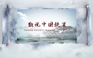 《数说扶贫》