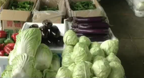 [西安]现有2.5万余吨储备蔬菜   保证春节期间市场供应
