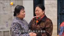 百家碎戏 婆婆妈妈一样亲
