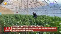 我省代表畅谈学习贯彻落实习近平总书记来陕考察重要讲话重要指示 奋力谱写陕西高质量发展新篇章