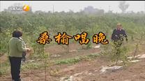 百家碎戏 桑榆唱晚