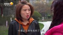 百家碎戏 亲生女儿不如干儿子