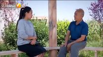 百家碎戏 老子儿子要结婚