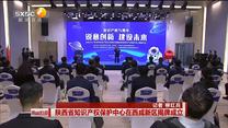 陕西省知识产权保护中心在西咸新区揭牌成立
