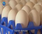农村大市场 贺淑霞：鸡蛋“网红”的致富路
