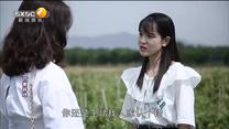 百家碎戏 爱情拐了个弯