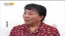 百家碎戏 红梅的幸福