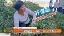 不一样的劳动课！  校园开辟“空中农场”