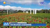 【大美陕西新画卷】绿水青山绘就生态富民新画卷
