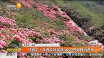 领券啦！陕西文旅发放3000万惠民消费券