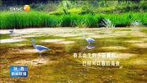 【大美陕西新画卷】火红蓬勃最七月