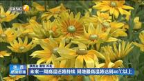 未来一周高温还将持续 局地最高温将达到40℃℃以上