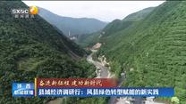 【奋斗新征程 建功新时代】县域经济调研行：凤县绿色转型赋能的新实践
