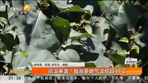 高温来袭！我省多地气温将超40℃