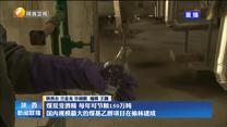煤炭变酒精 每年可节粮150万吨 国内规模最大的煤基乙醇项目在榆林建成